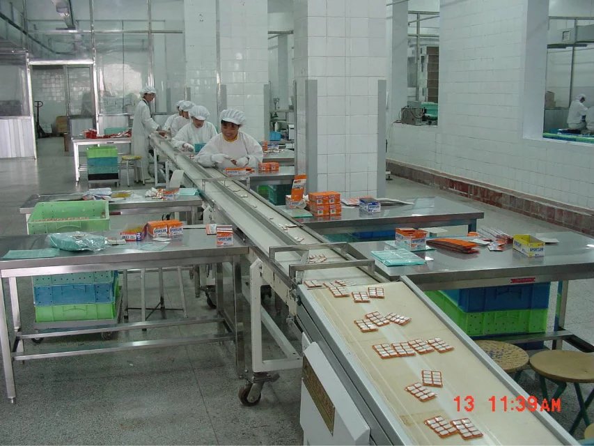 食品輸送皮帶機